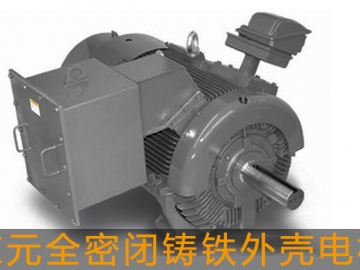 東元高壓電機(jī)全密閉鑄鐵外殼電機(jī)