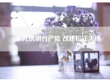 東元攜明臺(tái)產(chǎn)險(xiǎn) 改建松江大樓