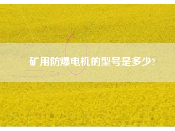 礦用防爆電機(jī)的型號是多少?