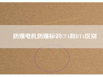 防爆電機(jī)防爆標(biāo)識CT4和BT4區(qū)別