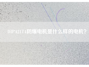 DIPA21T4防爆電機是什么樣的電機？