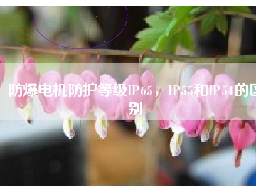 防爆電機防護等級IP65，IP55和IP54的區(qū)別