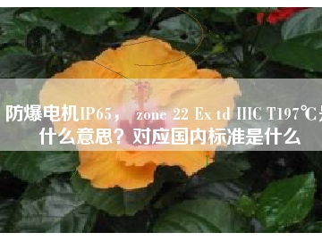 防爆電機IP65， zone 22 Ex td IIIC T197℃是什么意思？對應(yīng)國內(nèi)標準是什么
