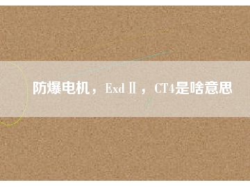 防爆電機(jī)，ExdⅡ，CT4是啥意思