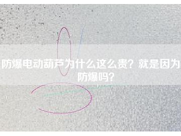 防爆電動(dòng)葫蘆為什么這么貴？就是因?yàn)槟芊辣瑔幔?></div>
                            <div   id=