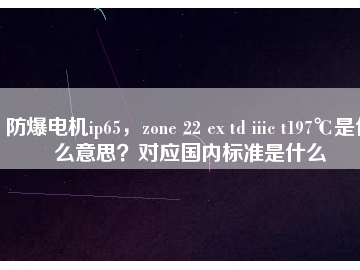 防爆電機ip65，zone 22 ex td iiic t197℃是什么意思？對應(yīng)國內(nèi)標準是什么