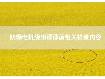 防爆電機(jī)繞組浸漆前相關(guān)檢查內(nèi)容