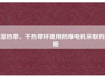 濕熱帶、干熱帶環(huán)境用防爆電機(jī)采取的措施