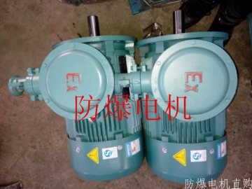 防爆電機分類：防爆電機選型、參數(shù)、定義