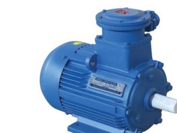 目前變頻低壓電機(jī)還存在哪些問題？