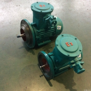 防爆電機(jī)使用中如何保證電機(jī)能正常工作