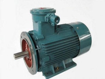 防爆電機驗收時除了銘牌外，還要注意哪些？