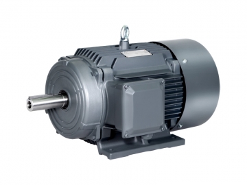 1TL0001鑄鐵系列適用于變頻及出口低壓三相異步電動機(jī)