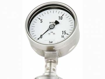 DSS19F符合EN837-1標(biāo)準(zhǔn)的壓力表，帶隔膜密封