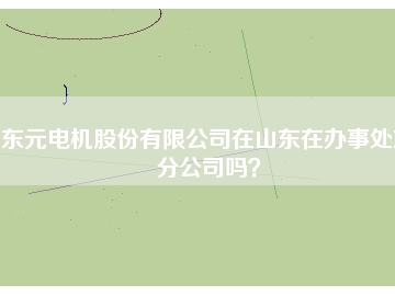東元電機(jī)股份有限公司在山東在辦事處或分公司嗎？