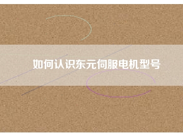 如何認(rèn)識(shí)東元伺服電機(jī)型號(hào)