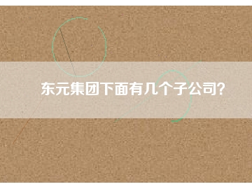 東元集團(tuán)下面有幾個(gè)子公司？