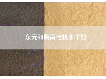 東元和皖南電機(jī)哪個(gè)好
