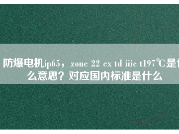 防爆電機ip65，zone 22 ex td iiic t197℃是什么意思？對應國內(nèi)標準是什么