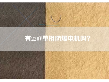 有220V單相防爆電機(jī)嗎？