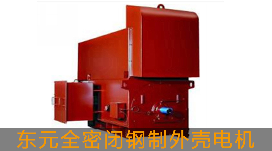 東元高壓電機(jī)全密閉鋼制外殼電機(jī)