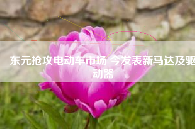 東元搶攻電動(dòng)車市場 今發(fā)表新馬達(dá)及驅(qū)動(dòng)器