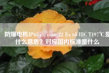 防爆電機(jī)IP65， zone 22 Ex td IIIC T197℃是什么意思？對應(yīng)國內(nèi)標(biāo)準(zhǔn)是什么