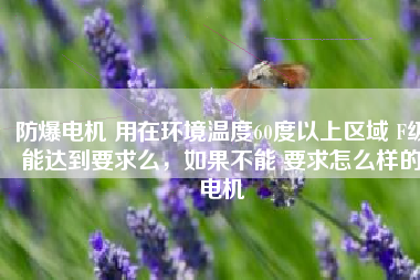 防爆電機 用在環(huán)境溫度60度以上區(qū)域 F級能達到要求么，如果不能 要求怎么樣的電機