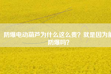 防爆電動(dòng)葫蘆為什么這么貴？就是因?yàn)槟芊辣瑔幔? title=