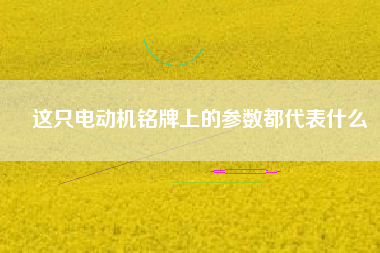 這只電動機銘牌上的參數(shù)都代表什么