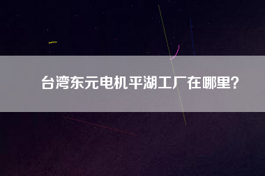 臺(tái)灣東元電機(jī)平湖工廠在哪里？