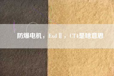 防爆電機(jī)，ExdⅡ，CT4是啥意思