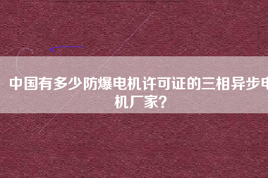 中國(guó)有多少防爆電機(jī)許可證的三相異步電機(jī)廠家？