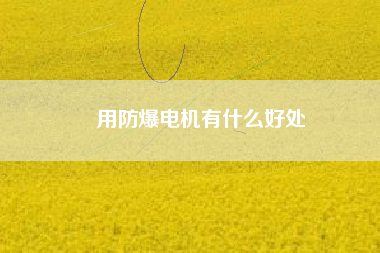 用防爆電機(jī)有什么好處