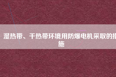 濕熱帶、干熱帶環(huán)境用防爆電機(jī)采取的措施